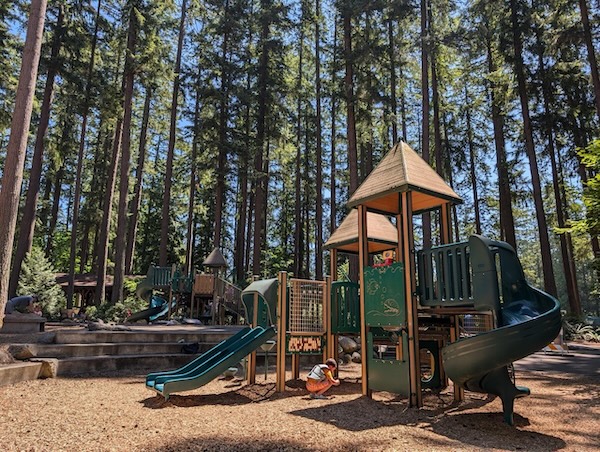 Children playing at a playground